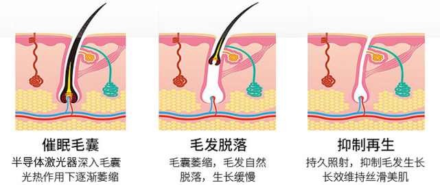 圖片4.png